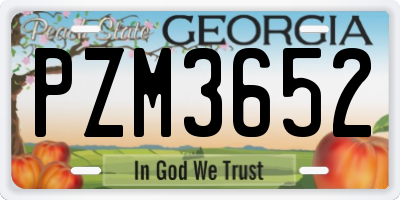 GA license plate PZM3652