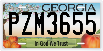 GA license plate PZM3655