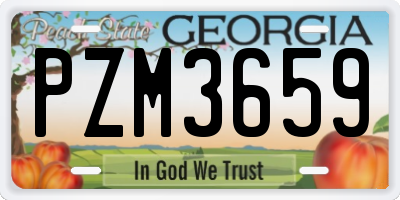 GA license plate PZM3659