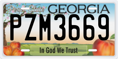 GA license plate PZM3669