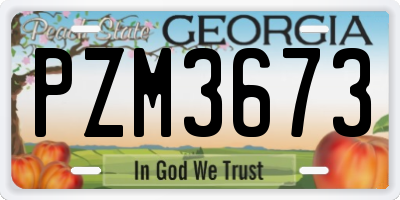 GA license plate PZM3673