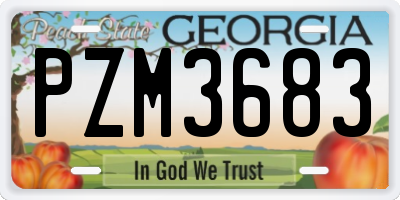 GA license plate PZM3683
