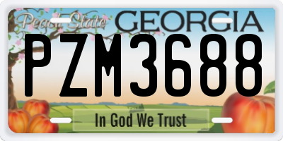 GA license plate PZM3688