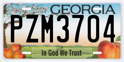 GA license plate PZM3704