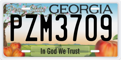 GA license plate PZM3709