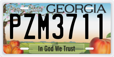 GA license plate PZM3711