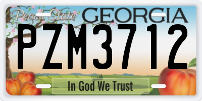 GA license plate PZM3712
