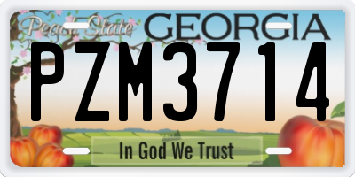 GA license plate PZM3714