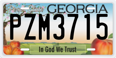 GA license plate PZM3715