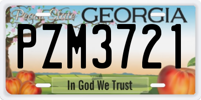 GA license plate PZM3721