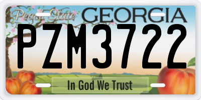 GA license plate PZM3722