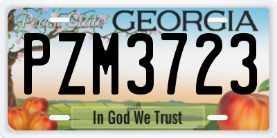 GA license plate PZM3723