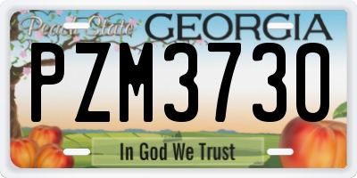 GA license plate PZM3730