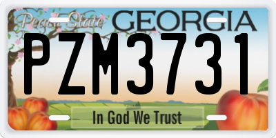 GA license plate PZM3731