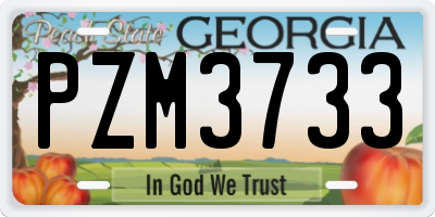 GA license plate PZM3733