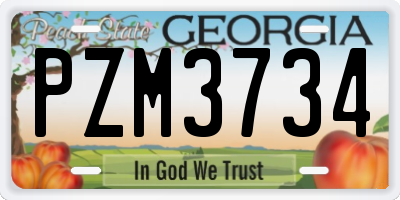 GA license plate PZM3734
