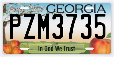 GA license plate PZM3735