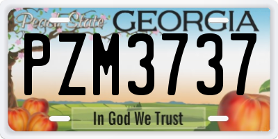 GA license plate PZM3737