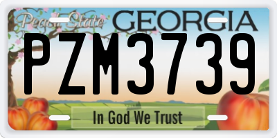 GA license plate PZM3739