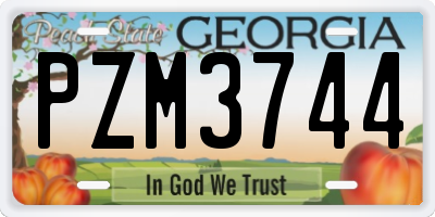 GA license plate PZM3744