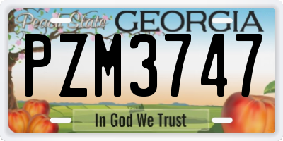 GA license plate PZM3747