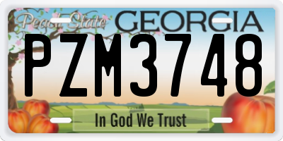 GA license plate PZM3748