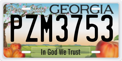 GA license plate PZM3753