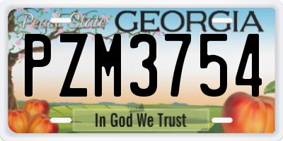 GA license plate PZM3754