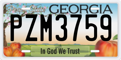 GA license plate PZM3759