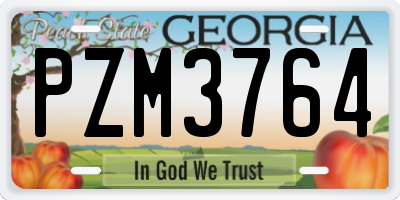 GA license plate PZM3764