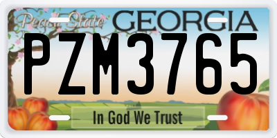 GA license plate PZM3765