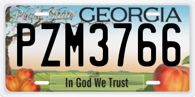 GA license plate PZM3766