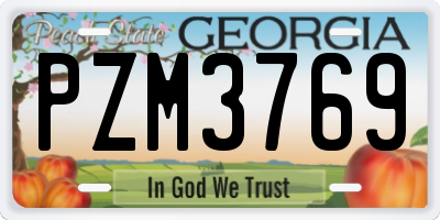 GA license plate PZM3769