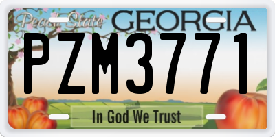 GA license plate PZM3771