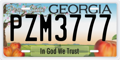 GA license plate PZM3777