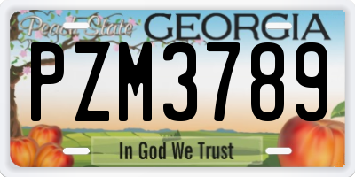 GA license plate PZM3789
