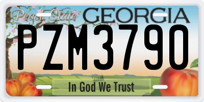 GA license plate PZM3790