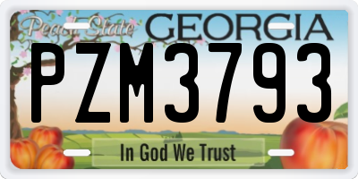 GA license plate PZM3793