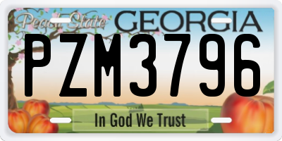 GA license plate PZM3796