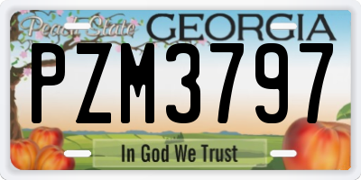 GA license plate PZM3797