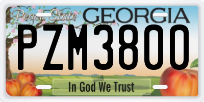 GA license plate PZM3800