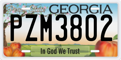 GA license plate PZM3802