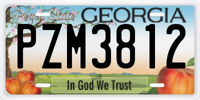 GA license plate PZM3812