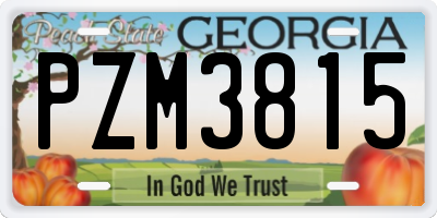 GA license plate PZM3815