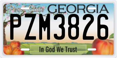 GA license plate PZM3826