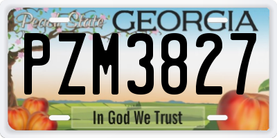 GA license plate PZM3827
