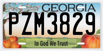 GA license plate PZM3829