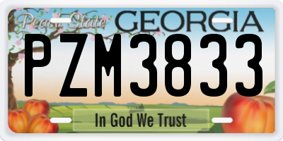 GA license plate PZM3833