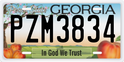 GA license plate PZM3834