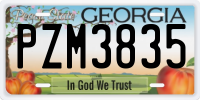 GA license plate PZM3835